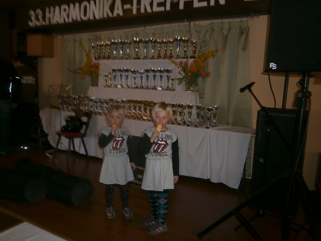Harmonkatreffen-2014-26