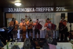 Harmonkatreffen-2014-22